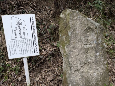 PXL_20251113_040629910