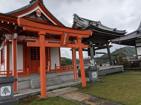 PXL_20240423_053627888