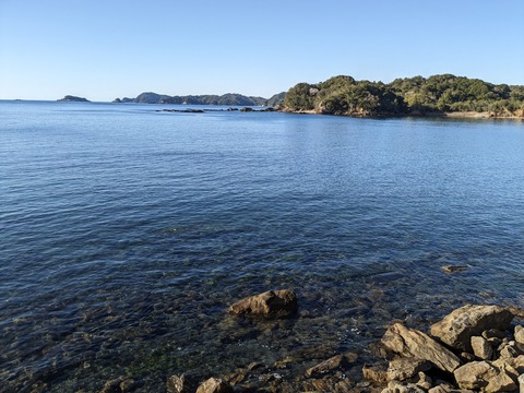 PXL_20240326_223533458