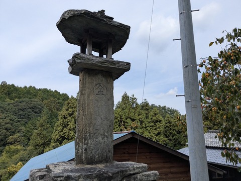 PXL_20251102_025900731