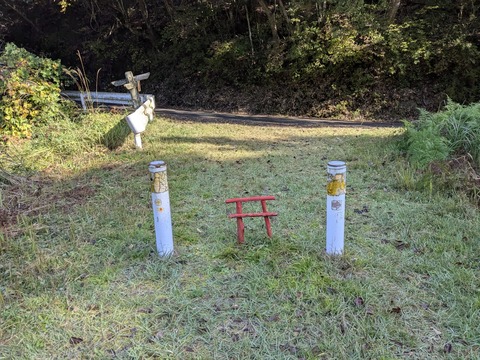 PXL_20251114_002938855