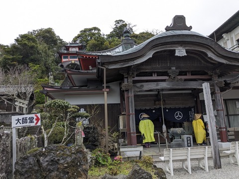 PXL_20240328_063019359