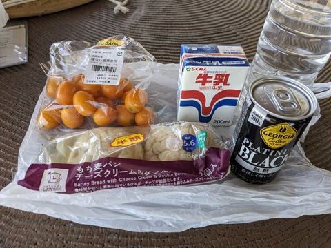 PXL_20240327_024812551