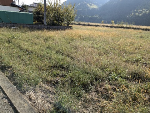 PXL_20241027_002542247