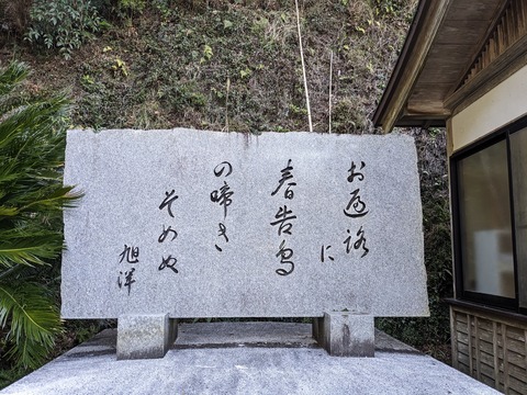 PXL_20240330_000812202