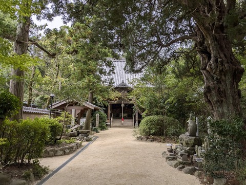 PXL_20241022_023213219