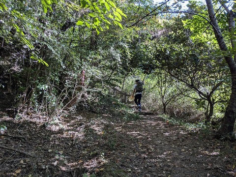 PXL_20241107_001959771