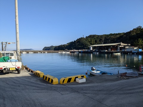 PXL_20241120_055843270