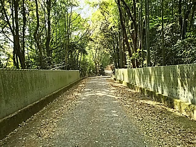イメージ 51