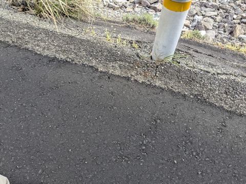 PXL_20251123_044432026