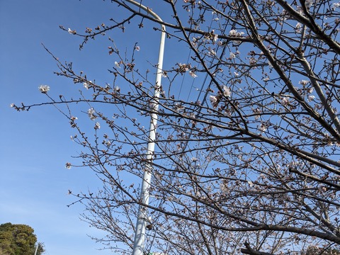 PXL_20240330_225526109