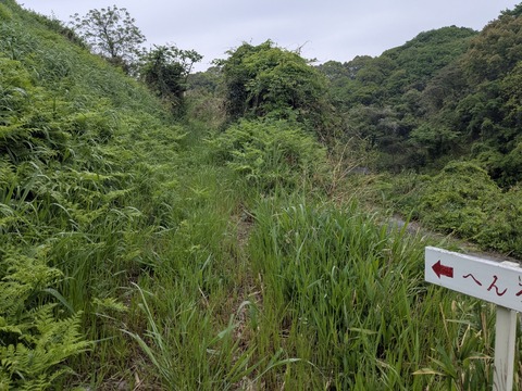 PXL_20250427_222831440