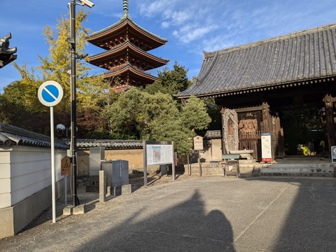 PXL_20241108_065302930