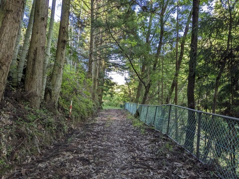 PXL_20240425_064401579