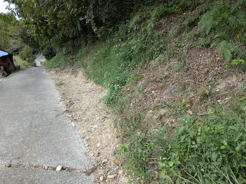 PXL_20241022_011728660