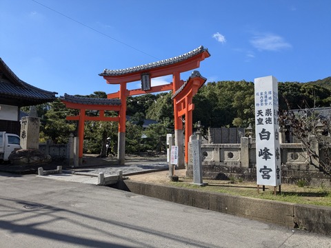 PXL_20241106_011420777.MP