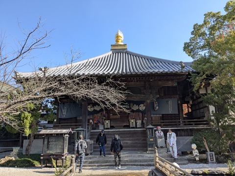 PXL_20251115_040023598