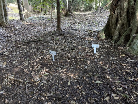 PXL_20251125_010708087