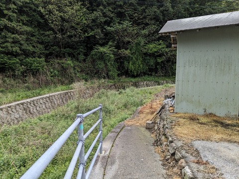 PXL_20240424_025238938