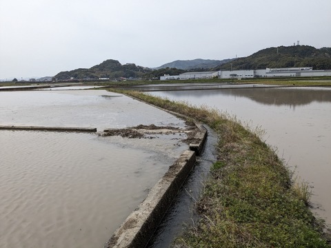 PXL_20240331_044241894