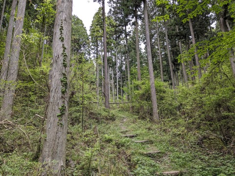 PXL_20240426_052258523