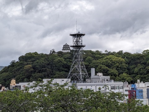 PXL_20240423_053713308