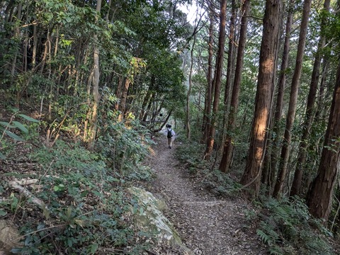 PXL_20241122_064555607