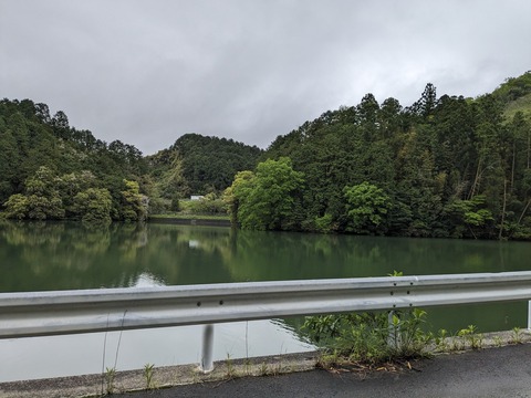 PXL_20240424_005227715