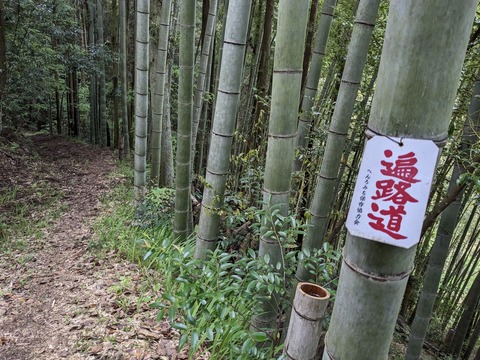 PXL_20240425_215638161