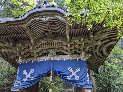 PXL_20240427_013609109