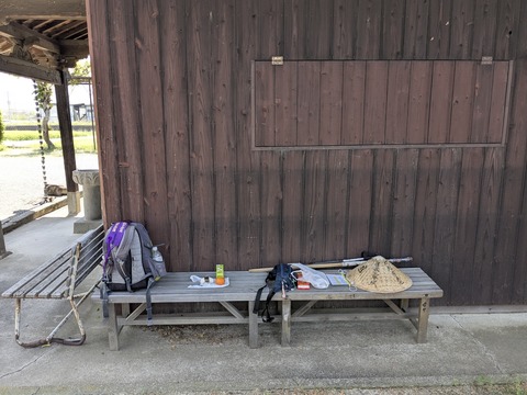 PXL_20250426_031249987