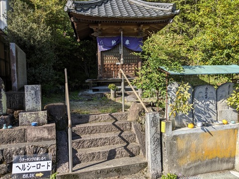 PXL_20240425_070129172