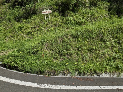 PXL_20240425_003348299