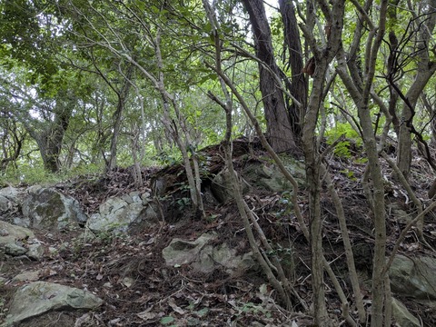 PXL_20250928_024939971