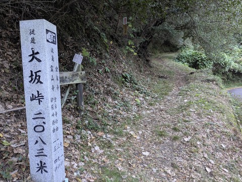 PXL_20251114_225346902