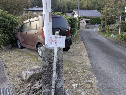 PXL_20251114_223259923