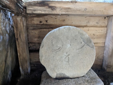 PXL_20240425_010021922