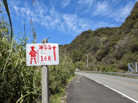 PXL_20240329_034800645