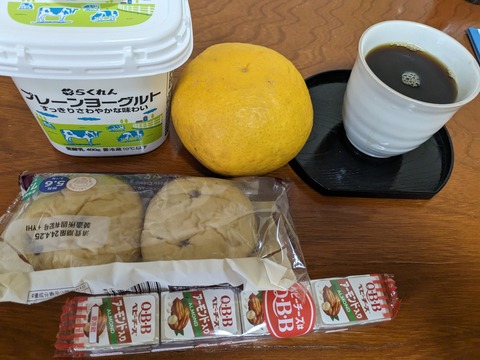 PXL_20240424_205243967