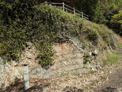 PXL_20240424_234957349