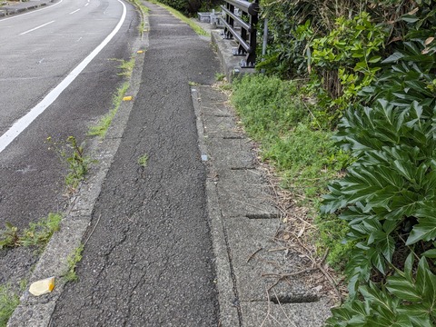 PXL_20240328_012153330