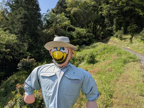 PXL_20250425_235908672