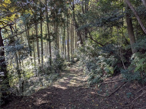 PXL_20251114_001621222