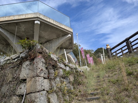 PXL_20251112_041401436