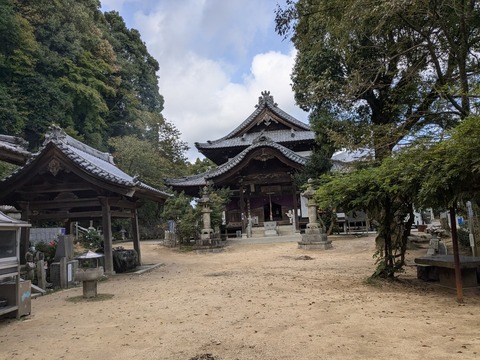 PXL_20241025_010912471