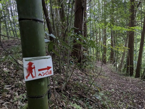 PXL_20240425_215806450