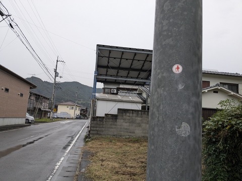 PXL_20241025_220348451