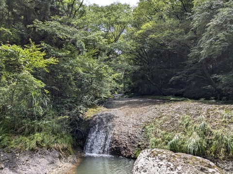 PXL_20240723_025219210