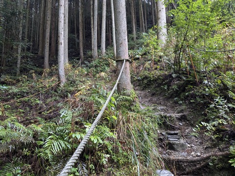 PXL_20241026_002507062