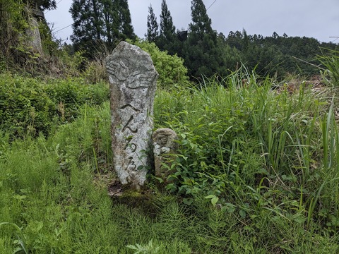 PXL_20240427_044906711